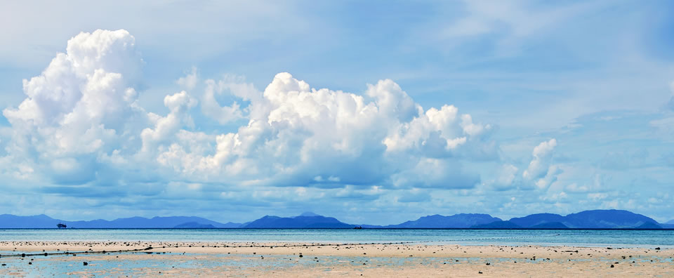 大气、土壤、水等污染防治专项行动技术服务